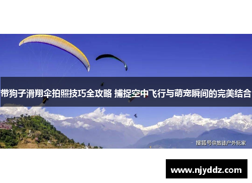带狗子滑翔伞拍照技巧全攻略 捕捉空中飞行与萌宠瞬间的完美结合