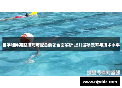 自学蛙泳完整技巧与配合要领全面解析 提升游泳效率与技术水平