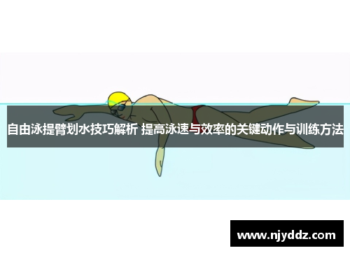 自由泳提臂划水技巧解析 提高泳速与效率的关键动作与训练方法