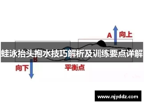 蛙泳抬头抱水技巧解析及训练要点详解