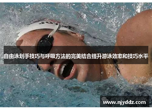 自由泳划手技巧与呼吸方法的完美结合提升游泳效率和技巧水平